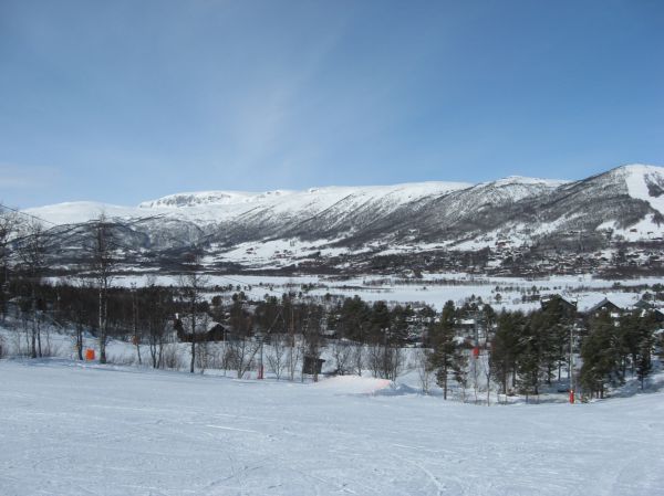 Klik for fuld størrelse