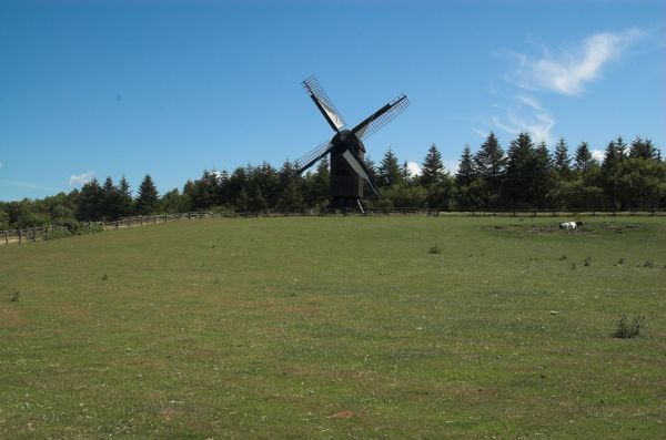 Klik for fuld størrelse