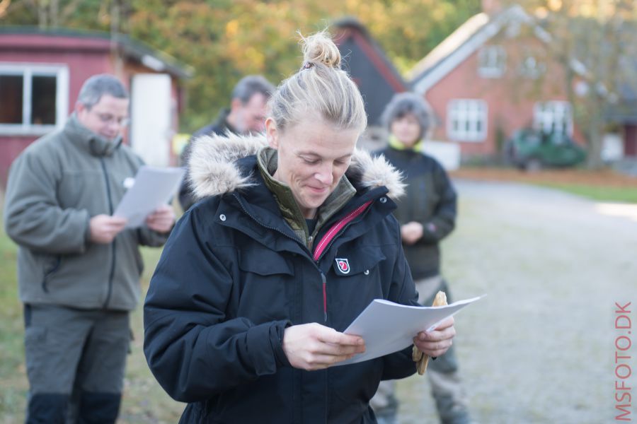 Klik for fuld størrelse