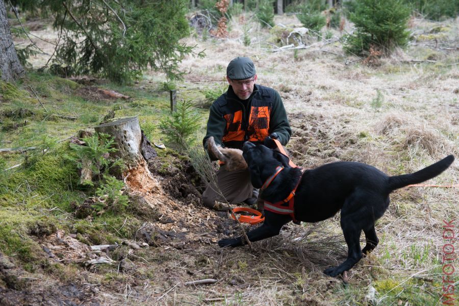 Klik for fuld størrelse