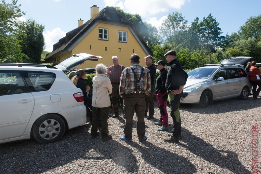 Klik for fuld størrelse