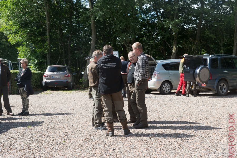 Klik for fuld størrelse